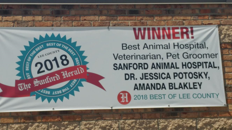 best vet for your animals